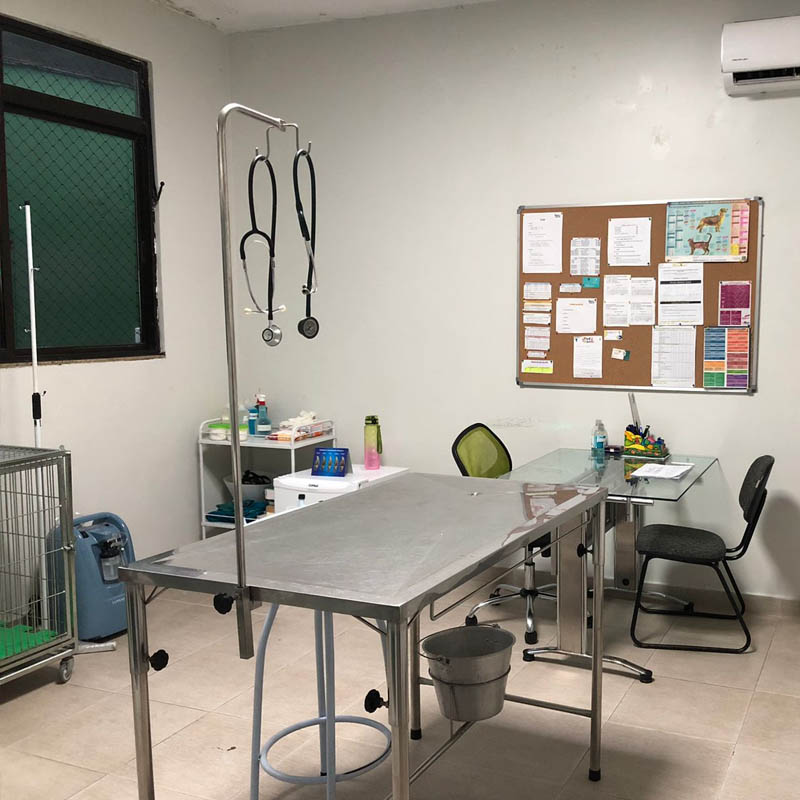 Hospital Veterinário 24h em Santos | Vila Belmiro | Marapé | Campo Grande | Vila Mathias | Pet Mania